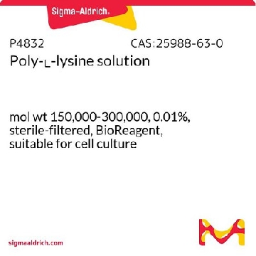 多聚-ʟ-赖氨酸 溶液，50ML，P4832-50ML，Sigma
