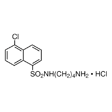 W-13，5MG，SML0717-5MG，Sigma