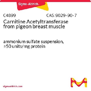 肉碱乙酰转移酶 来源于鸽子胸肌，1MG，C4899-1MG，Sigma