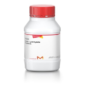 明胶水解物酶，500G，G0262-500G，Sigma