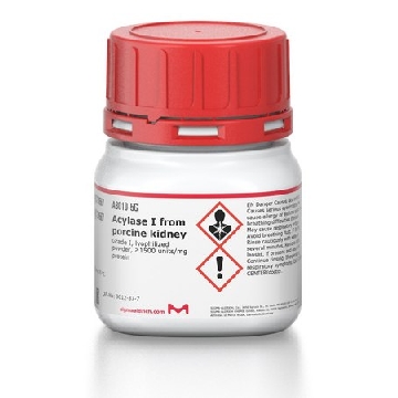 酰基酶Ⅰ 来源于猪肾脏，100MG，A3010-100MG，Sigma
