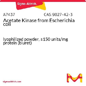 乙酸激酶 来源于大肠杆菌，250UNITS，A7437-250UN，Sigma