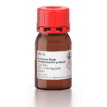 蛋白酶 来源于灰色链霉菌，1G，P5147-1G，Sigma