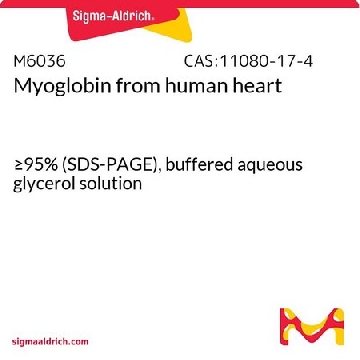 肌红蛋白 来源于人类心脏，250UG，M6036-250UG，Sigma