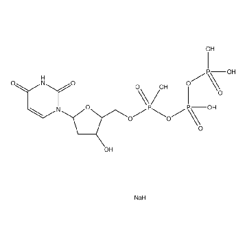 dUTP，1250UL，11969056001，Roche