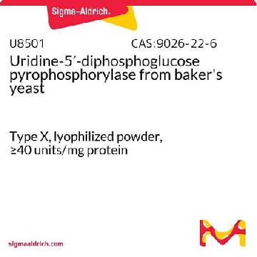 尿苷-5′-二磷酸葡萄糖焦磷酸化酶 来源于面包酵母，25UNITS，U8501-25UN，Sigma
