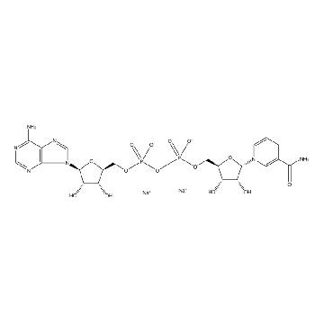 α-Nicotinamide adenine dinucleotide, reduced disodium salt，5MG，N6879-5MG，Sigma