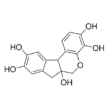 苏木精，25G，H3136-25G，Sigma