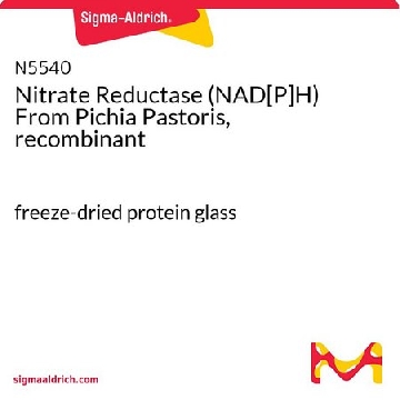重组硝酸还原酶(NAD[P]H)，毕赤酵母来源，5UNITS，N5540-5UN，Sigma