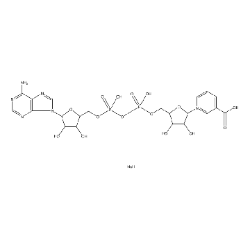 烟酸腺嘌呤二核苷酸 钠盐，25MG，N4256-25MG，Sigma