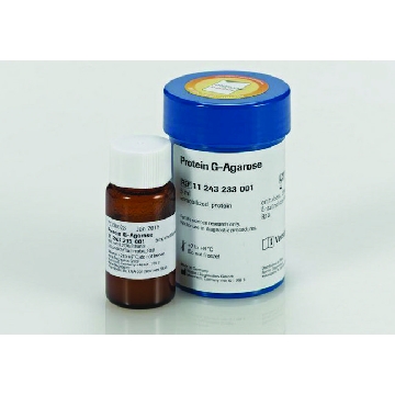蛋白G琼脂糖，2ML，11719416001，Roche