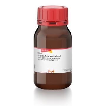肌红蛋白 来源于马心脏，5G，M1882-5G，Sigma
