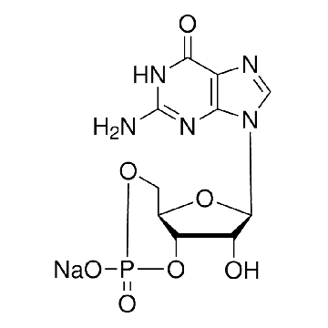 鸟苷-3′,5′-环一磷酸 钠盐，1G，G6129-1G，Sigma