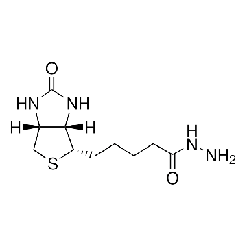 生物素酰肼，1G，B7639-1G，Sigma