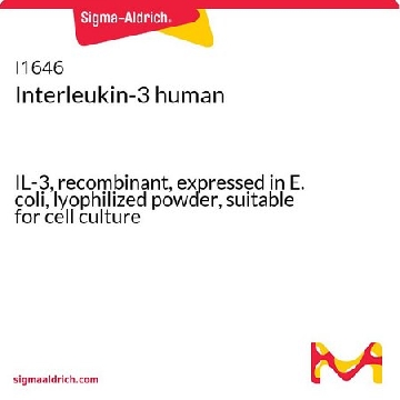 白细胞介素-3 人，10UG，I1646-10UG，Sigma
