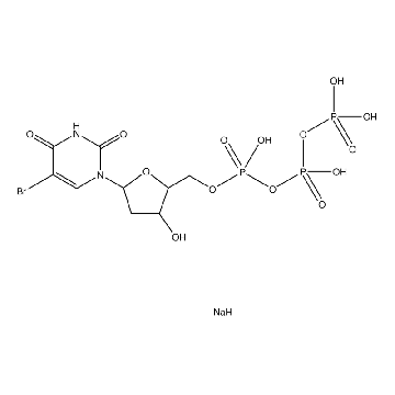 5-Bromo-2′-deoxyuridine 5′-triphosphate sodium salt，1MG，B0631-1MG，Sigma