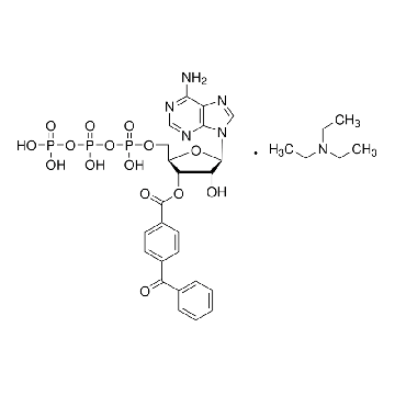 2′(3′)-O-(4-苯甲酰苯甲酰)腺苷5′-三磷酸 三乙铵盐，25MG，B6396-25MG，Sigma