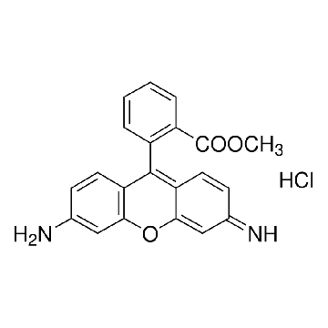 罗丹明123，25MG，R8004-25MG，Sigma