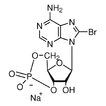 8-溴腺苷-3′,5′-环单磷酸 钠盐，5MG，B7880-5MG，Sigma
