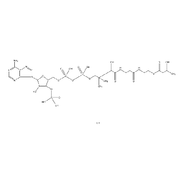 ᴅʟ-β-羟基丁酰基辅酶 A 锂盐，10MG，H0261-10MG，Sigma