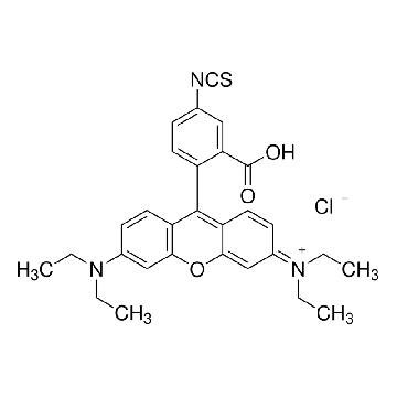 罗丹明B异硫氰酸酯，500MG，283924-500MG，Sigma