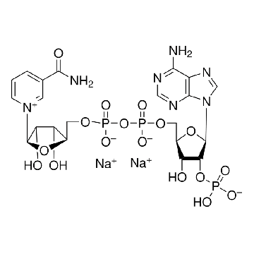NADP，5G，10240354001，Roche
