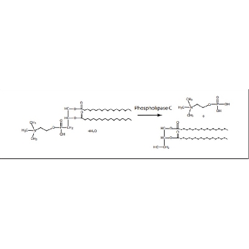 磷脂酶C 来源于产气荚膜梭菌（韦氏梭菌），500UNITS，P7633-500UN，Sigma