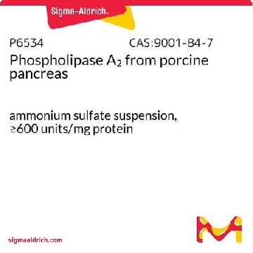 磷脂酶 A₂ 来源于猪胰腺，10MG，P6534-10MG，Sigma
