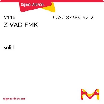 Z-VAD-FMK，2MG，V116-2MG，Sigma