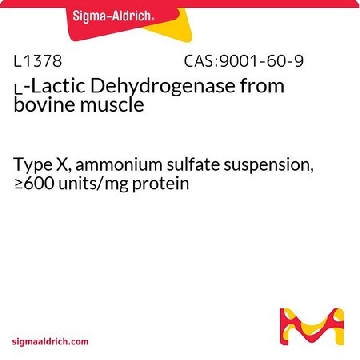 ʟ-Lactic Dehydrogenase 来源于牛肌肉，15000UNITS，L1378-15KU，Sigma