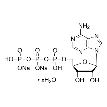 腺苷 5′-三磷酸 二钠盐 水合物，10G，A6419-10G，Sigma