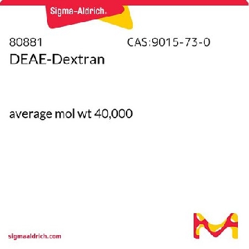 DEAE 葡聚糖，1G，80881-1G，Sigma