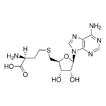 S-(5′-腺苷)-ʟ-高半胱氨酸，10MG，A9384-10MG，Sigma