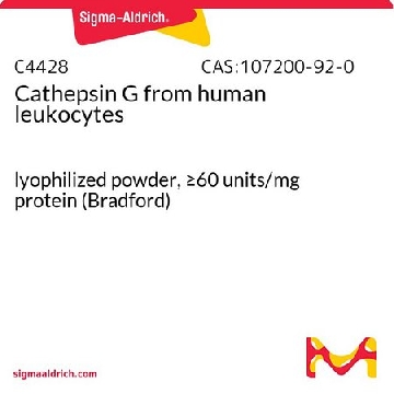 Cathepsin G from human leukocytes，0.25UNIT，C4428-.25UN，Sigma