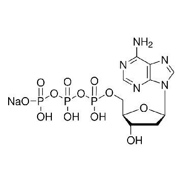 dATP，250UL，11934511001，Roche