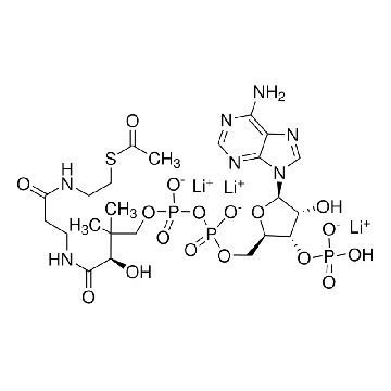 乙酰辅酶 A 锂盐，1MG，A2181-1MG，Sigma