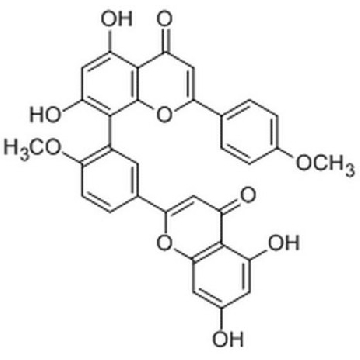 前体mRNA剪接抑制剂，异银杏双黄酮，10MG，416154-10MGCN，Sigma