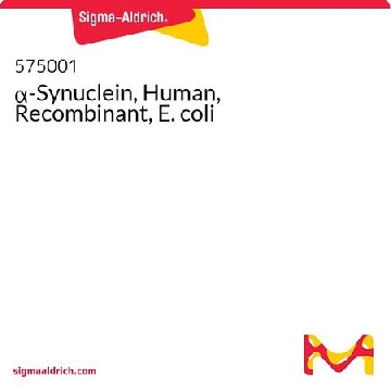 α-突触核蛋白，人，重组，大肠埃希菌，200UG，575001-200UGCN，Sigma