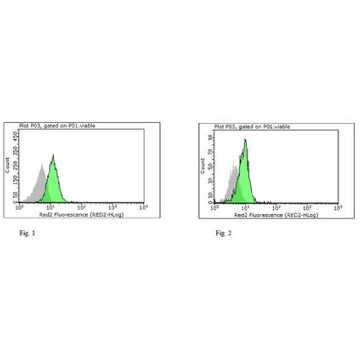 Anti-NLRP10 Antibody, clone 8H2，100UG，MABC293，Sigma