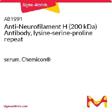 Anti-Neurofilament H (200 kDa) Antibody, lysine-serine-proline repeat，50UL，AB1991，Sigma