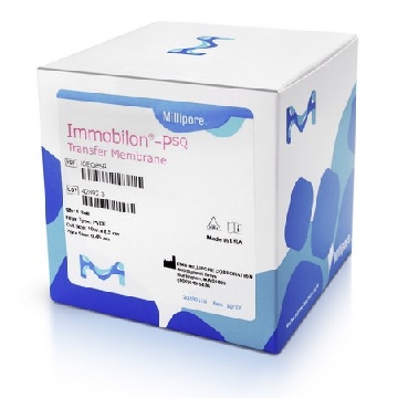 Immobilon®-PSQ膜，PVDF，0.2 m，8.5 cm x 10 m卷，1EA，ISEQ85R，密理博