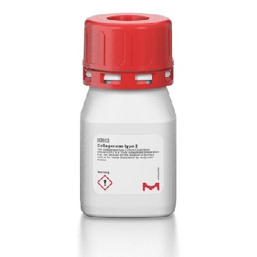 I型胶原酶，250MG，SCR103，Sigma