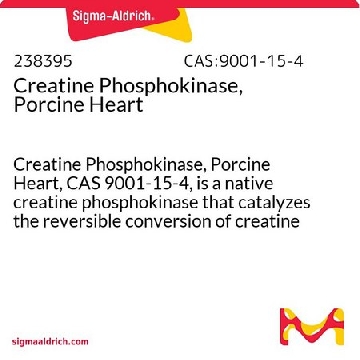 Creatine Phosphokinase, Porcine Heart，5KU，238395-5KUCN，Sigma