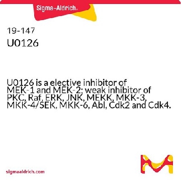 U0126，1MG，19-147，Sigma
