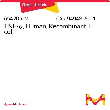 TNF-α，人，重组，大肠埃希菌，10UG，654205-10UGCN，Sigma