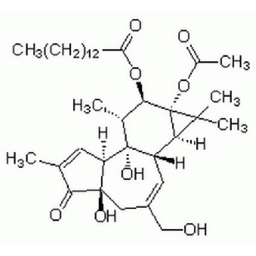 佛波醇12-十四酸酯13-乙酸酯，1MG，524400-1MGCN，Sigma