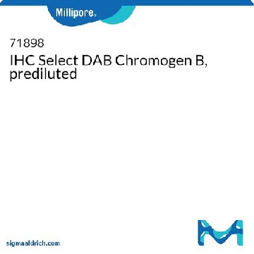 IHC Select DAB Chromogen B, prediluted，50ML，71898，密理博