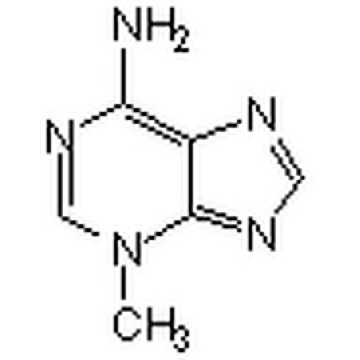 自噬抑制剂，3-MA，100MG，189490-100MGCN，Sigma