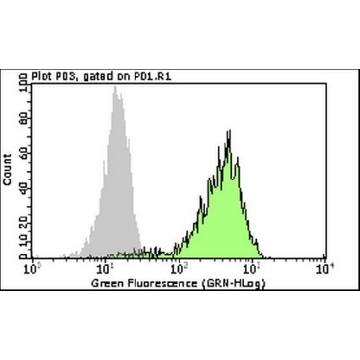 Milli-Mark® 抗-Brachyury-FITC 抗体（克隆 3E4.2），100TESTS，FCMAB302F，Sigma