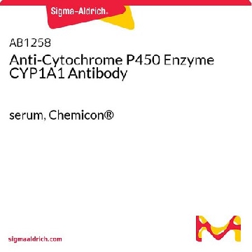 Anti-Cytochrome P450 Enzyme CYP1A1 Antibody，100UL，AB1258，Sigma